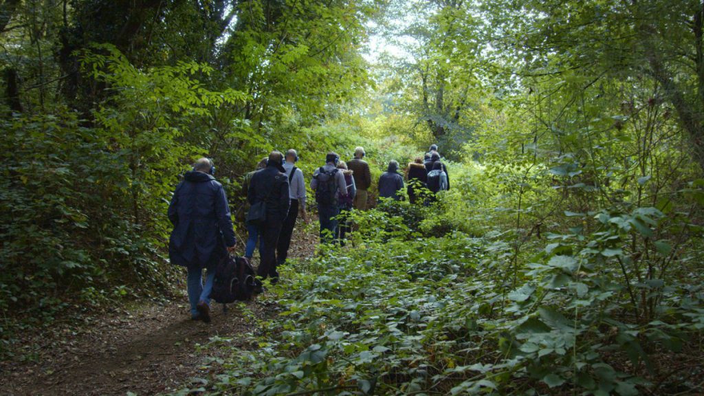 People wearing headphones walk through Mousehold Heath, Norwich