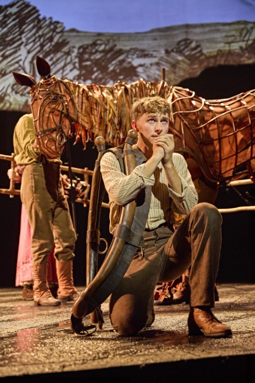 Tom Sturgess in War Horse - Photo: Brinkhoff Moegenburg