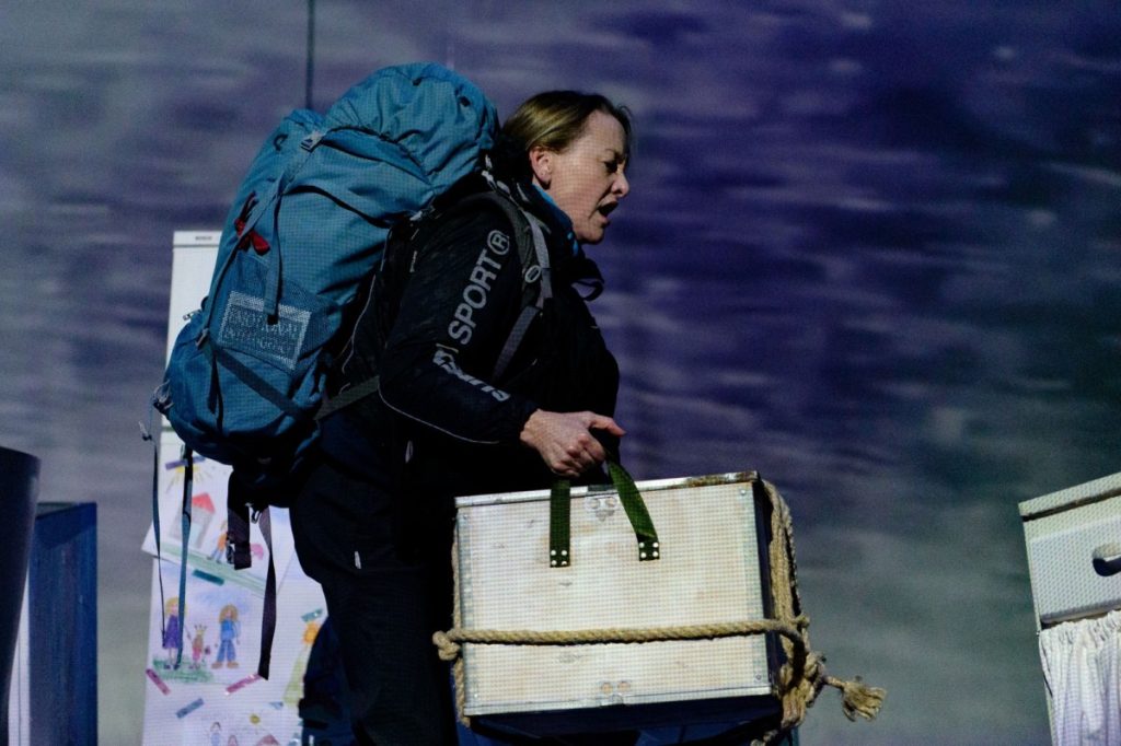 Albatross - Photo: Ashley Day