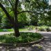 Chapelfield Gardens. Photo: Michael Button.