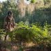 A masked figure stands on Mousehold Heath, Norwich