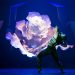 Dreda Blow as Beauty and Ashley Dixon as the Beast in Beauty & the Beast - Photo: Emma Kauldhar