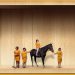 TAMED or It’s Hard To Get A Real Horse - Photo courtesy Flight of the Escales