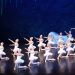 English Youth Ballet - The Sleeping Beauty