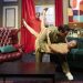 Emma Fenney, Joe Feeney and Kate Cresswell in Ding Dong at Sheringham Little Theatre