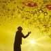 Indefinite Articles: The Magic Lamp - Photo: Andi Sapey