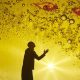 Indefinite Articles: The Magic Lamp - Photo: Andi Sapey